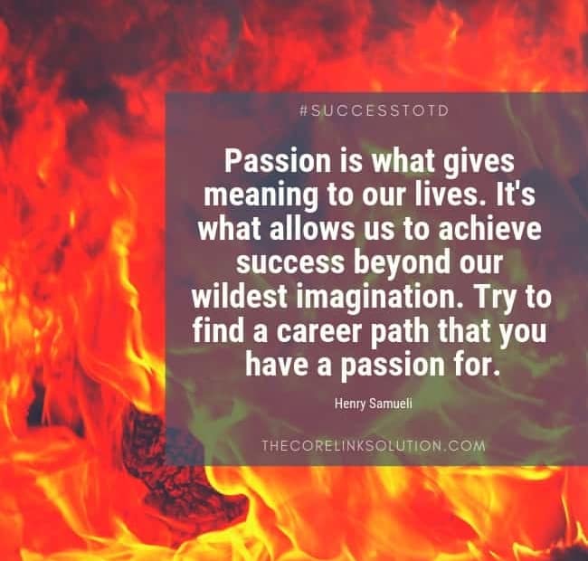 Passion is what gives meaning to our lives. It's what allows us to achieve success beyond our wildest imagination. Try to find a career path that you have a passion for. Henry Samueli