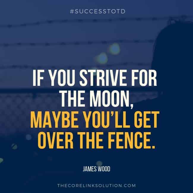 If you strive for the moon, maybe you’ll get over the fence. - James Wood