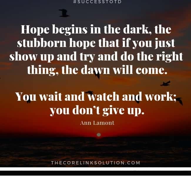 Hope begins in the dark, the stubborn hope that if you just show up and try and do the right thing, the dawn will come. You wait and watch and work; you don’t give up. - Anne Lamott