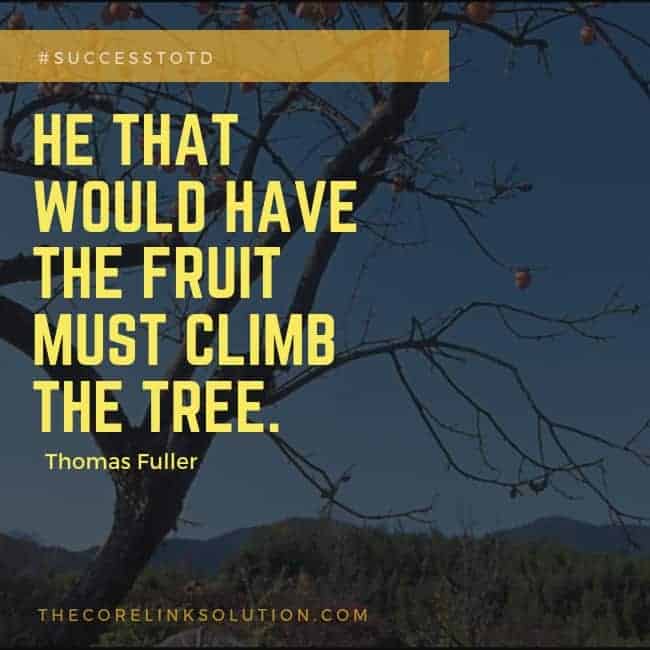 He that would have the Fruit must climb the Tree. – Thomas Fuller