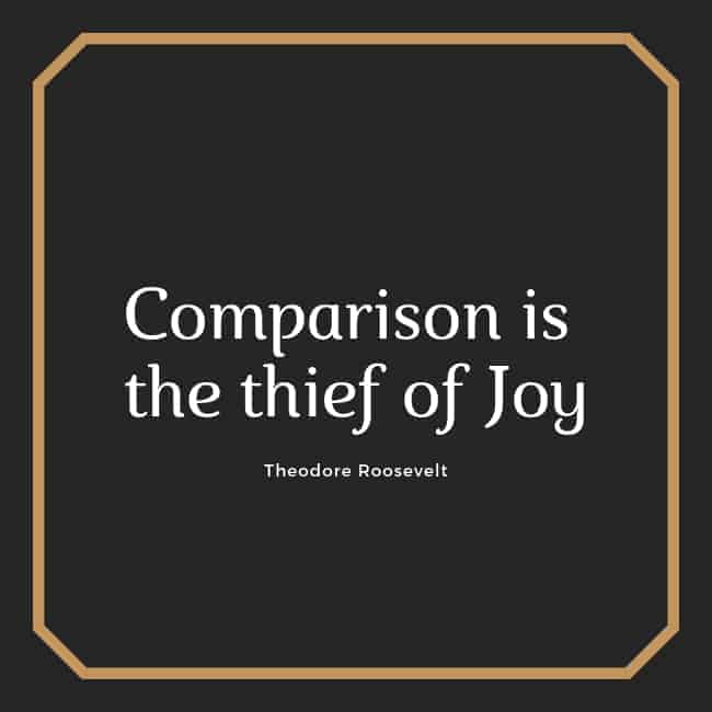 Comparison is the thief of joy. - Theodore Roosevelt