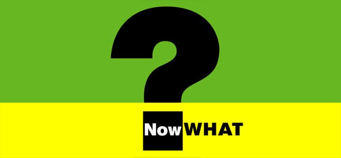 now-what-logo-large
