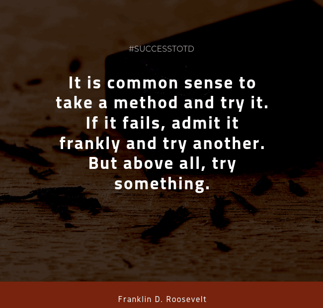 It is common sense to take a method and try it. If it fails, admit it frankly and try another. But above all, try something. - Franklin D. Roosevelt
