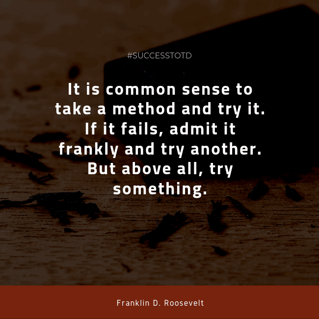 It is common sense to take a method and try it. If it fails, admit it frankly and try another. But above all, try something. - Franklin D. Roosevelt