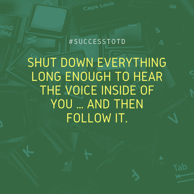Shut down everything long enough to hear the voice inside of you … and then follow it.