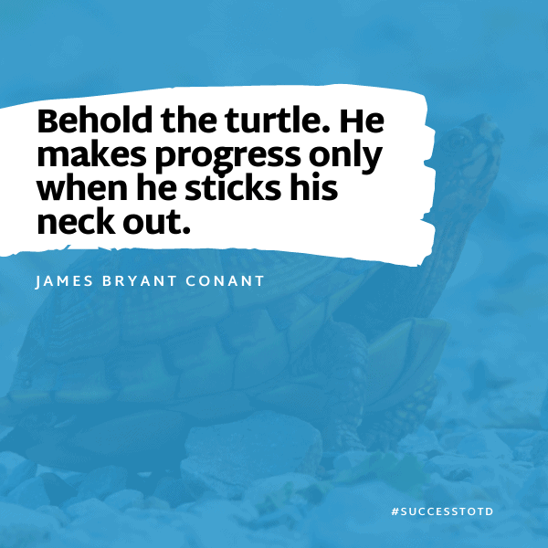 Behold the turtle. He makes progress only when he sticks his neck out. James Bryant Conant